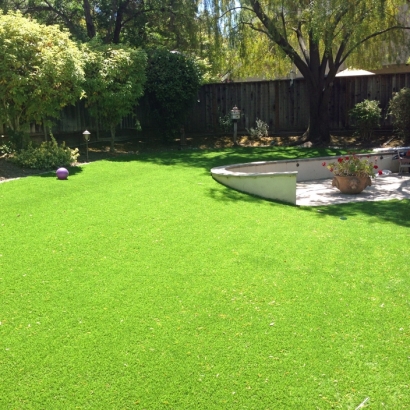 Turf Grass Vista, California Roof Top, Backyard Landscape Ideas