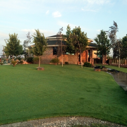 Turf Grass Winter Gardens, California Roof Top, Commercial Landscape