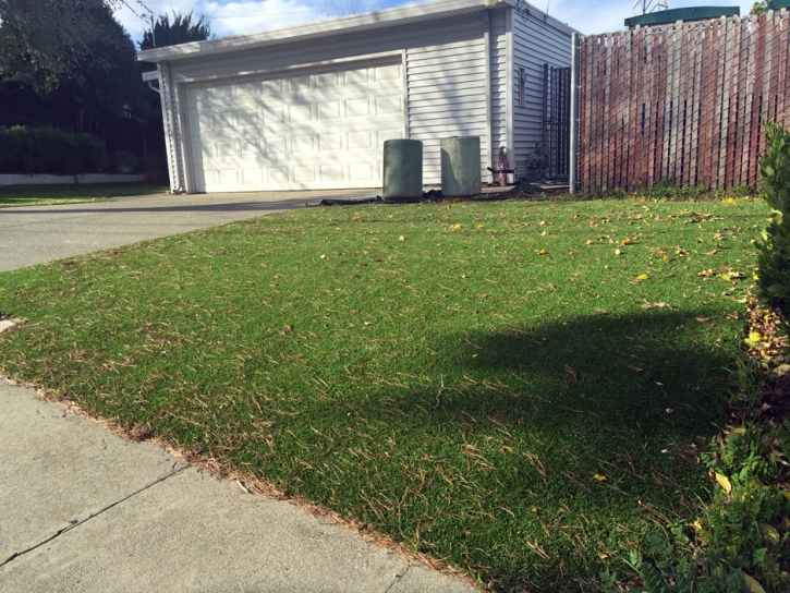 Artificial Grass Camp Pendleton North, California Home And Garden, Front Yard Design