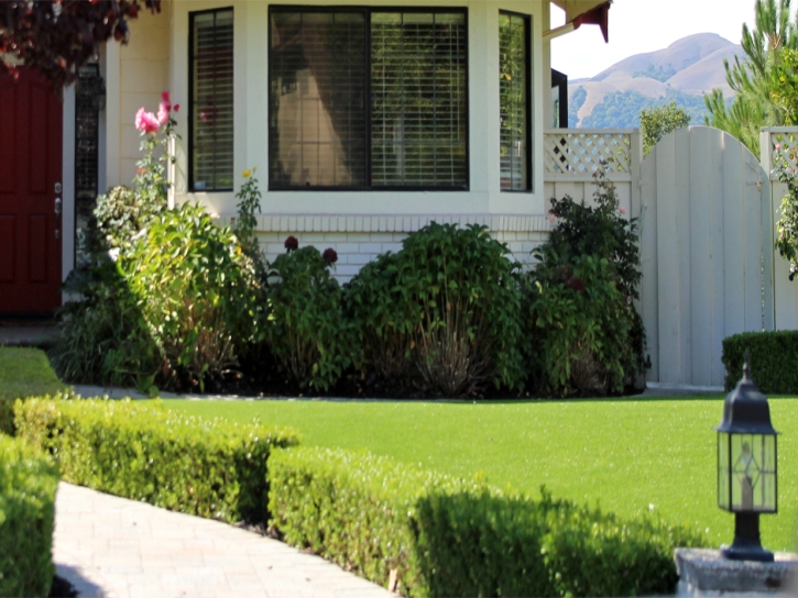 Artificial Grass Campo, California Gardeners, Landscaping Ideas For Front Yard