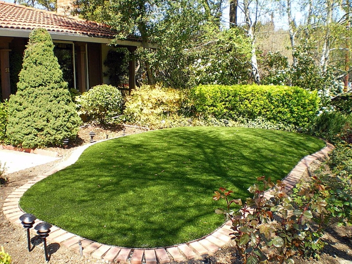 Artificial Grass Campo, California Landscape Rock, Small Backyard Ideas