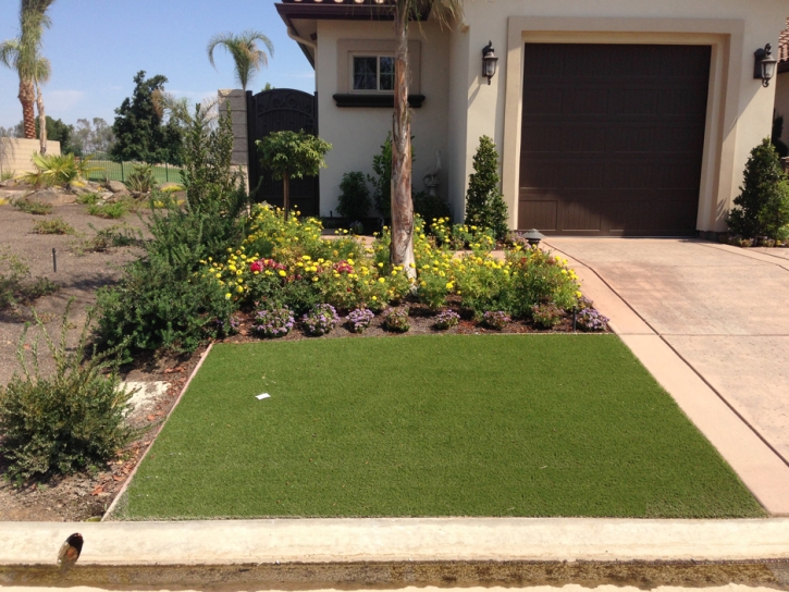 Artificial Grass Campo, California Landscaping Business, Front Yard Landscaping Ideas