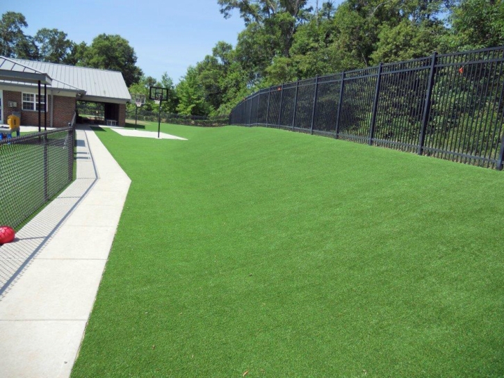 Artificial Grass Carpet Borrego Springs, California Landscape Photos, Commercial Landscape