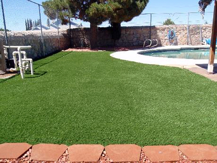 Artificial Grass Carpet Calipatria, California Home And Garden, Swimming Pool Designs