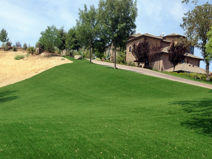 Artificial Grass Carpet Camp Pendleton South, California Rooftop, Front Yard