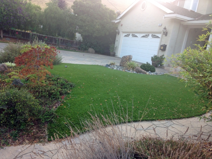 Artificial Grass Carpet Casa de Oro-Mount Helix, California Landscape Design, Small Front Yard Landscaping