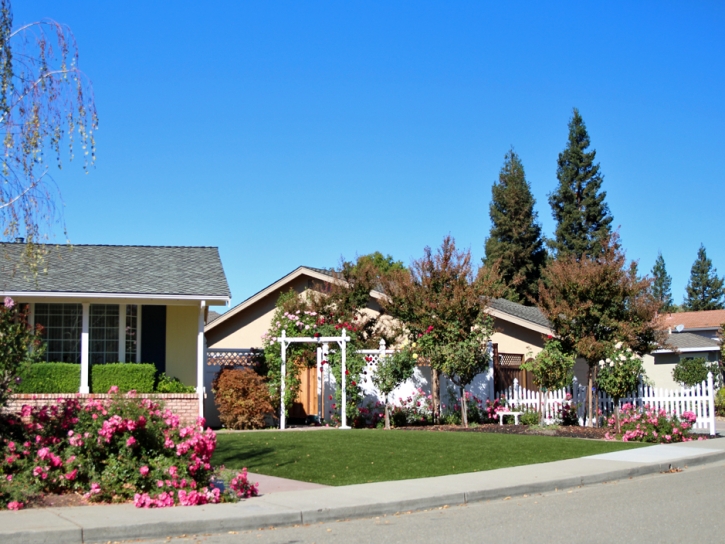 Artificial Grass Carpet Del Mar, California Home And Garden, Landscaping Ideas For Front Yard