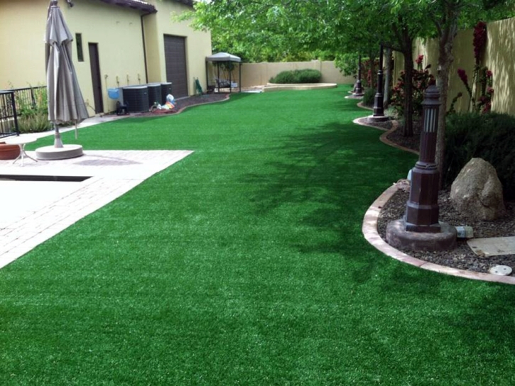 Artificial Grass Carpet El Cajon, California City Landscape, Backyard