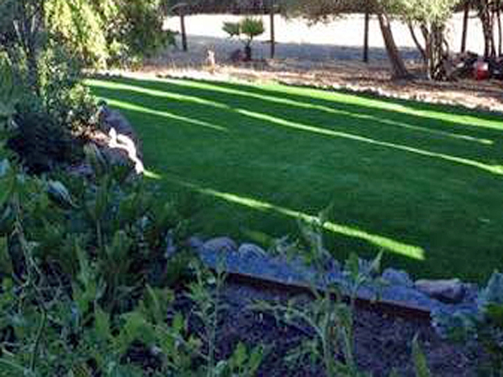 Artificial Grass Carpet Escondido, California Backyard Deck Ideas, Backyard