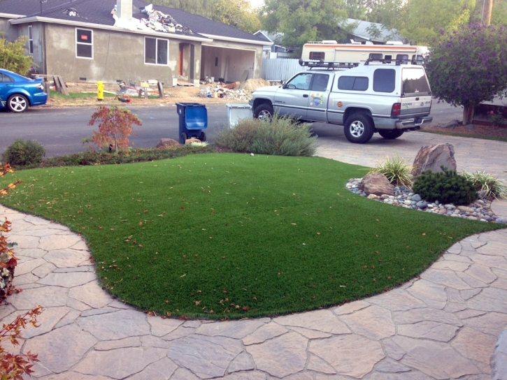 Artificial Grass Carpet Eucalyptus Hills, California Landscape Photos, Front Yard Landscaping Ideas