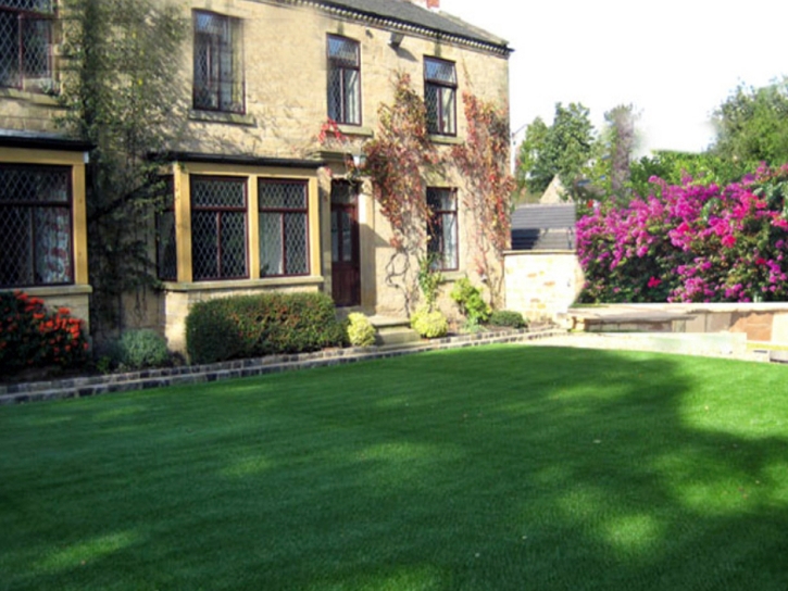 Artificial Grass Carpet Lake San Marcos, California Landscape Ideas, Front Yard