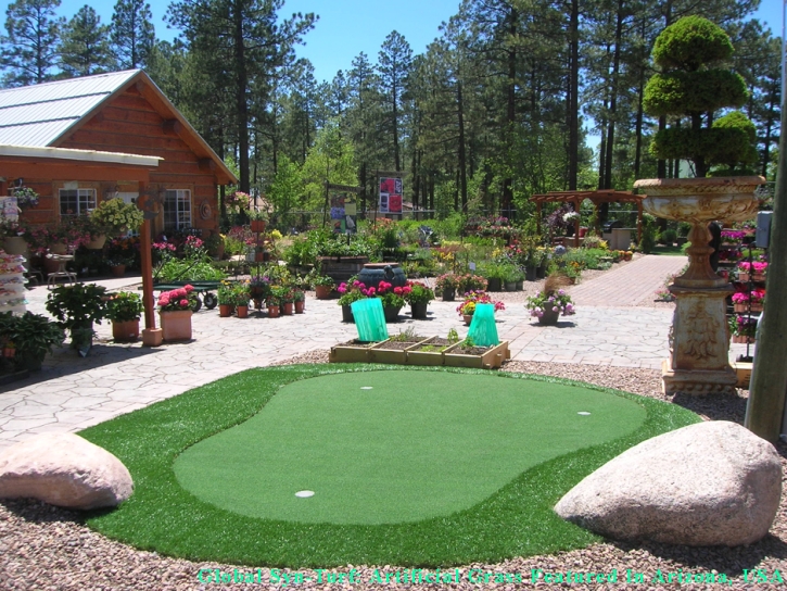 Artificial Grass Carpet Niland, California Backyard Putting Green, Small Backyard Ideas