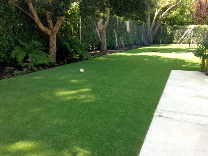 Artificial Grass Carpet Potrero, California Indoor Dog Park