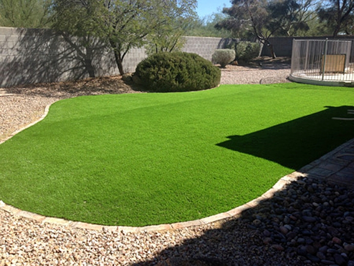 Artificial Grass Carpet Poway, California Landscaping, Backyard Ideas