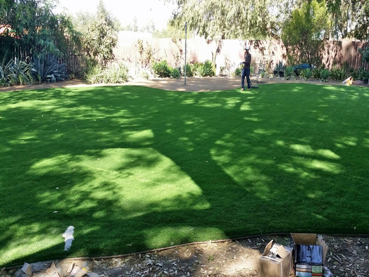 Artificial Grass Carpet Rancho Santa Fe, California Design Ideas, Backyards