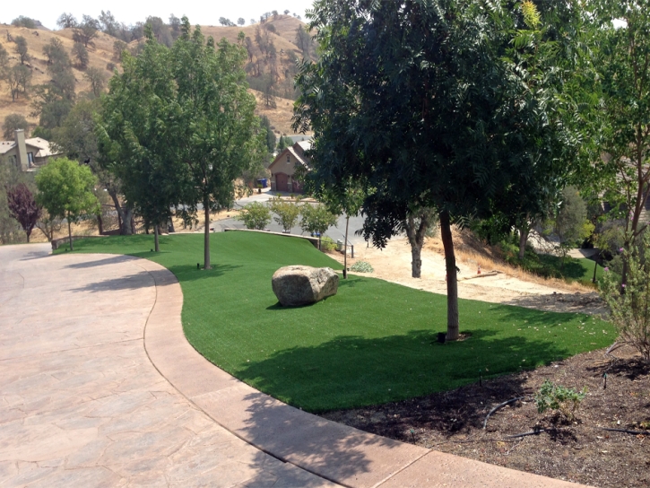 Artificial Grass Carpet San Marcos, California Lawn And Landscape, Landscaping Ideas For Front Yard