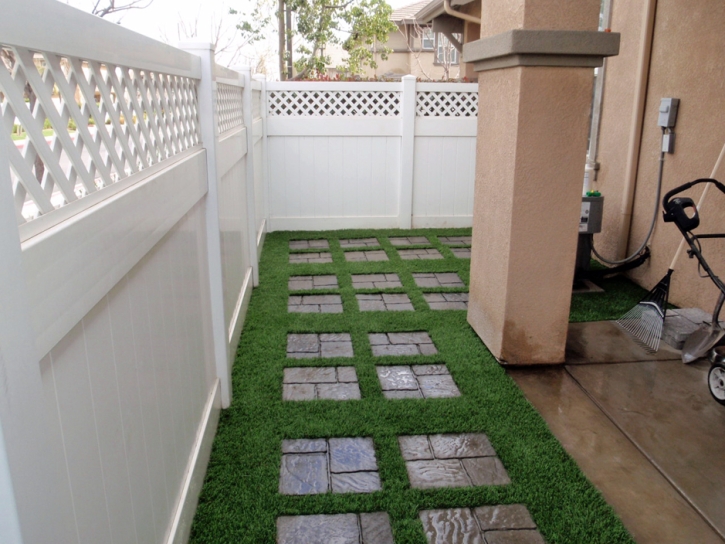 Artificial Grass Carpet San Pasqual, California Paver Patio, Backyard Landscaping Ideas