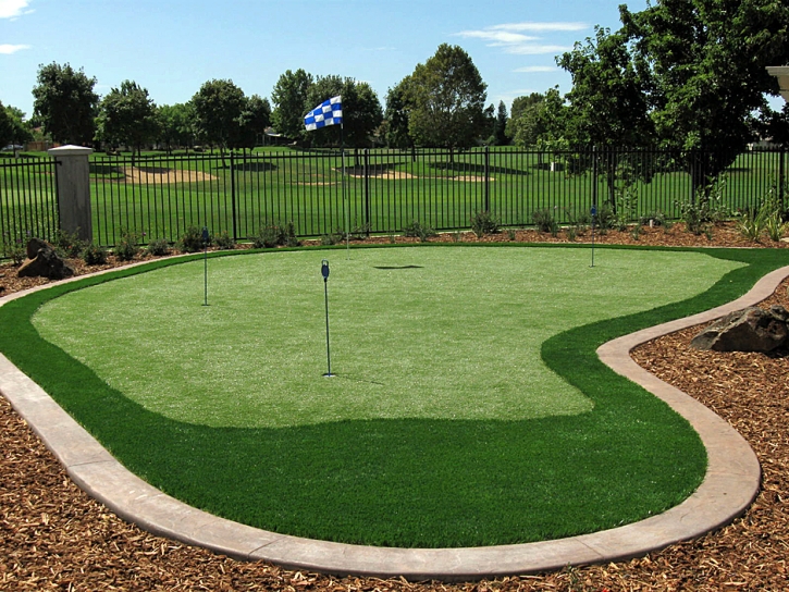 Artificial Grass Descanso, California Putting Green Flags, Backyard Design