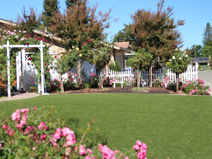 Artificial Grass Granite Hills, California Lawn And Landscape, Front Yard Landscaping