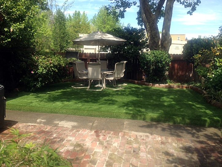 Artificial Grass Heber, California Landscape Ideas, Backyards