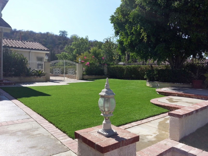 Artificial Grass Imperial Beach, California Garden Ideas, Front Yard Ideas