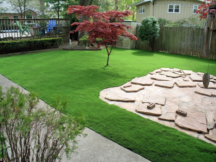 Artificial Grass Installation Carlsbad, California Design Ideas, Backyard