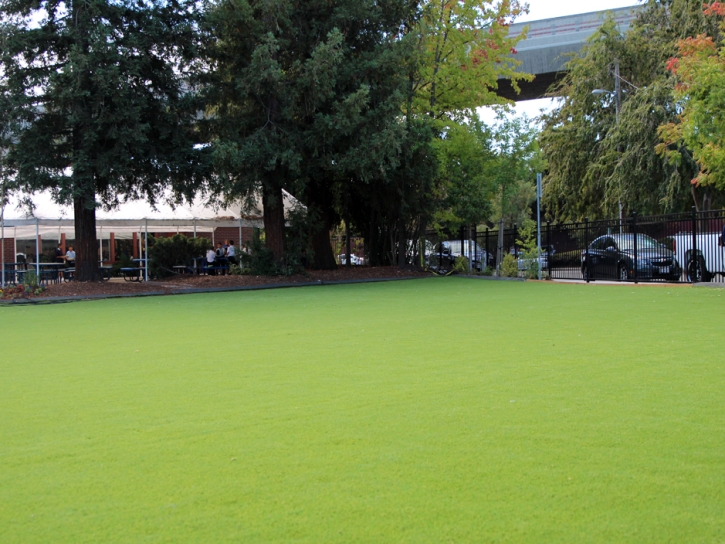 Artificial Grass Installation Potrero, California Landscape Rock, Commercial Landscape