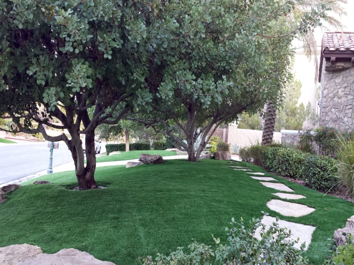 Artificial Grass La Jolla, California Landscape Photos, Front Yard Landscape Ideas