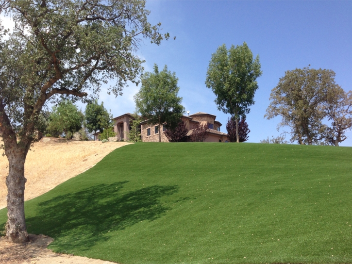 Artificial Grass Potrero, California Landscaping Business, Front Yard Landscaping