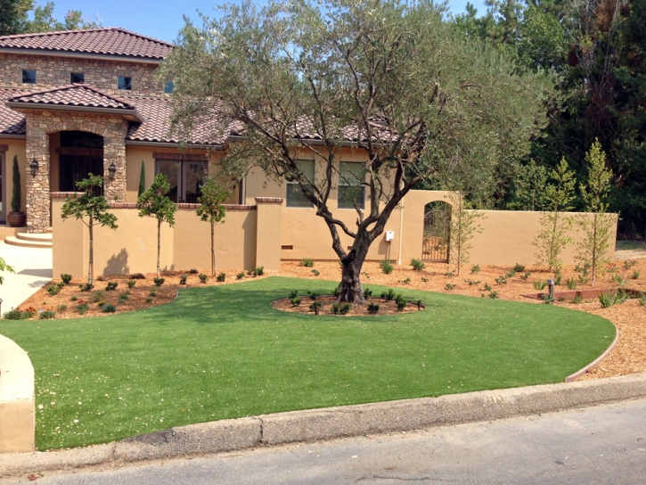 Artificial Grass San Pasqual, California Roof Top, Front Yard Design