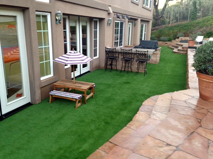 Artificial Lawn Borrego Springs, California Landscape Design, Backyard Designs