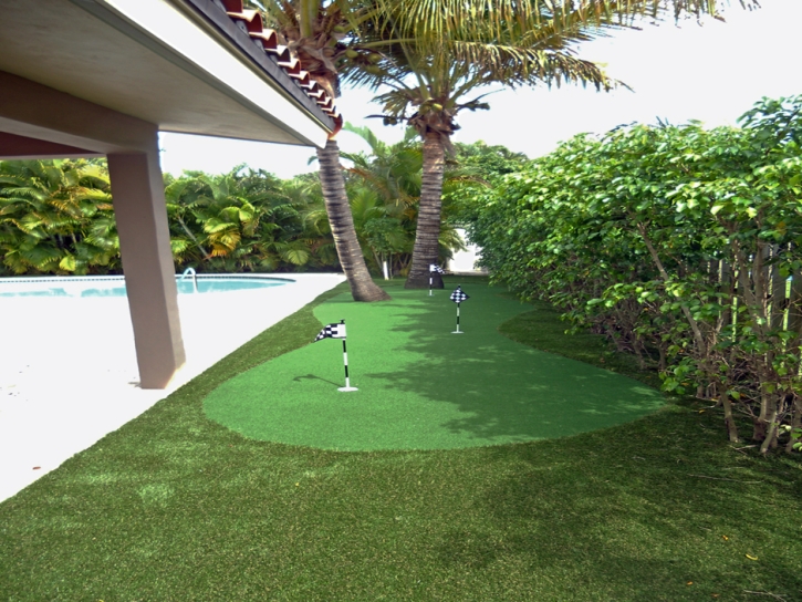 Artificial Lawn Calexico, California Indoor Putting Green, Backyard Design