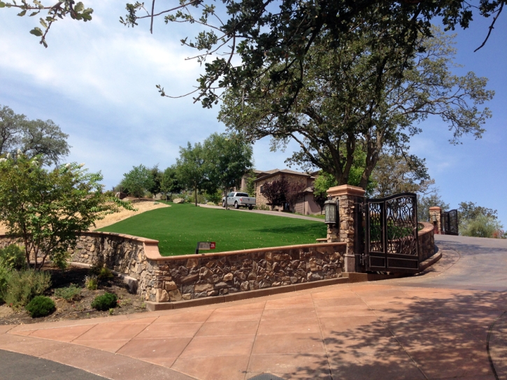 Artificial Lawn Granite Hills, California Lawns, Small Front Yard Landscaping