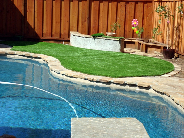 Artificial Lawn Potrero, California Landscape Design, Small Backyard Ideas