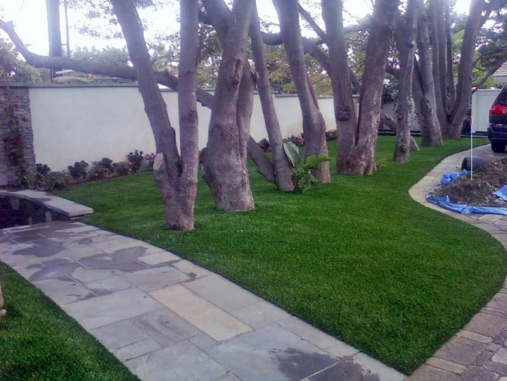 Artificial Lawn Spring Valley, California City Landscape, Front Yard Landscape Ideas