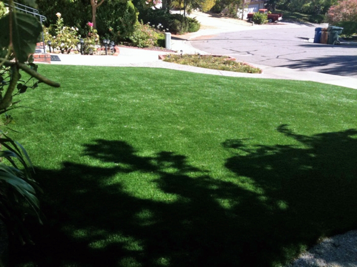 Artificial Turf Coronado, California Home And Garden, Landscaping Ideas For Front Yard