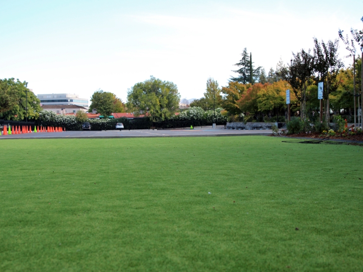 Artificial Turf Cost Bonsall, California Indoor Playground