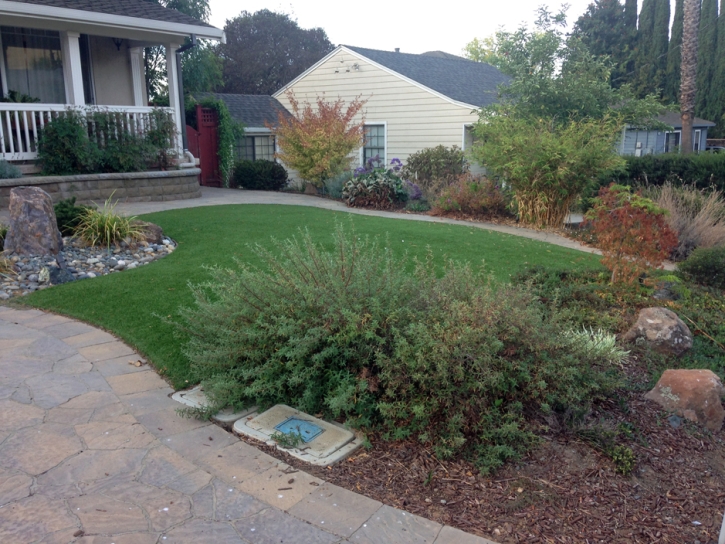 Artificial Turf Cost Borrego Springs, California Lawn And Landscape, Small Front Yard Landscaping