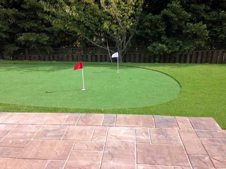 Artificial Turf Cost Casa de Oro-Mount Helix, California Landscape Photos, Backyard Landscaping