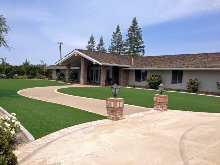 Artificial Turf Cost El Cajon, California Landscape Ideas, Front Yard Ideas