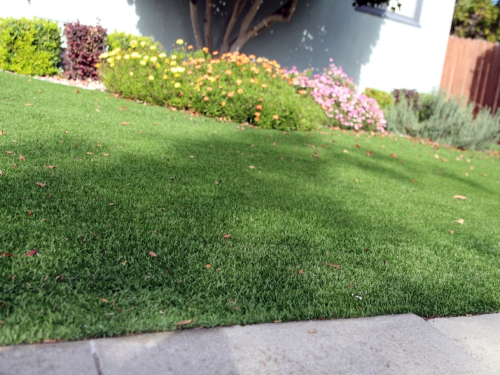 Artificial Turf Cost Imperial, California City Landscape, Front Yard