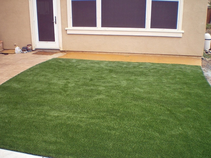 Artificial Turf Cost Lakeside, California Garden Ideas, Backyard