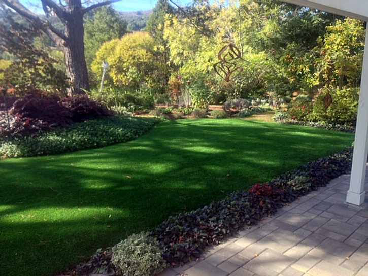 Artificial Turf Cost Pine Valley, California Home And Garden, Backyard Landscaping Ideas