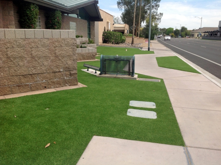 Artificial Turf Crest, California Home And Garden, Front Yard Ideas