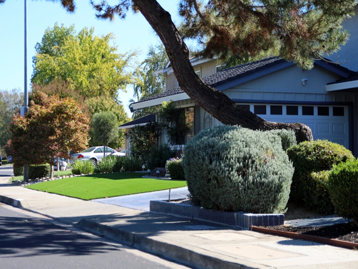 Artificial Turf Descanso, California Home And Garden, Front Yard