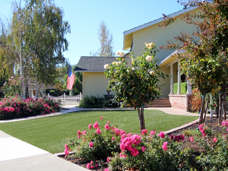 Artificial Turf Desert Shores, California Landscape Photos, Front Yard