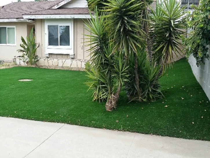 Artificial Turf Escondido, California Gardeners, Front Yard