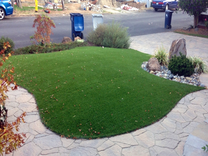 Artificial Turf Installation Alpine, California City Landscape