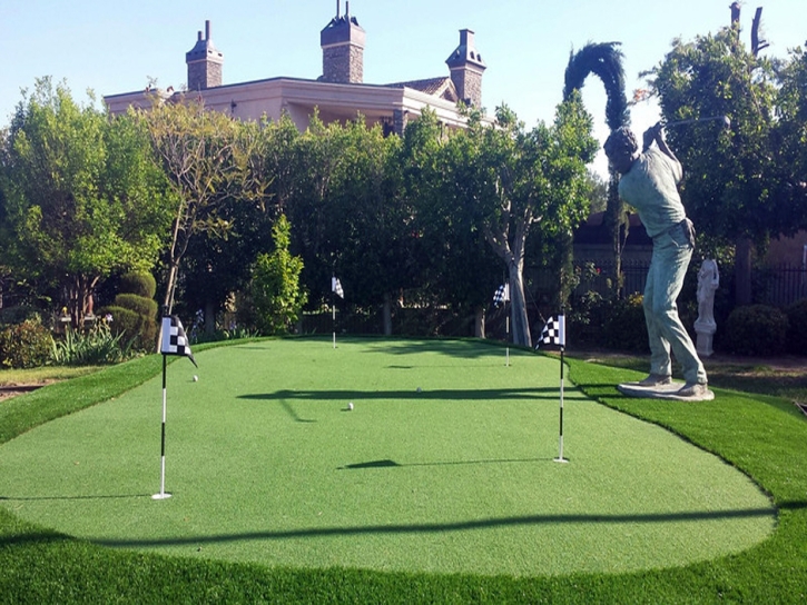 Artificial Turf Installation Bonita, California Outdoor Putting Green, Backyard Designs