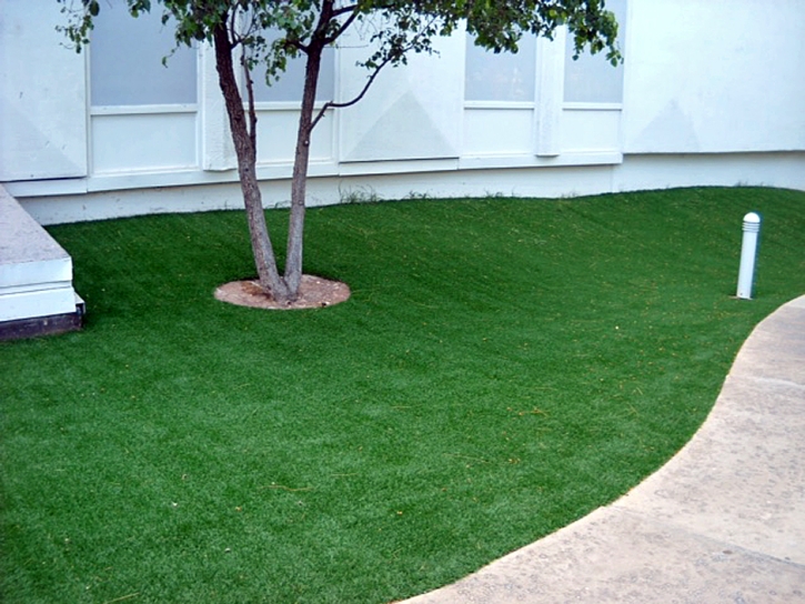 Artificial Turf Installation Casa de Oro-Mount Helix, California Landscaping, Commercial Landscape